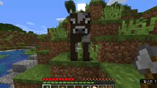 위스채널 마인크래프트 릴리즈 업데이트 113바다로가자