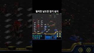 럴커만 남으면 잡기 쉽지 #스타크래프트 #프로토스 #래더 #럴커 #게임 #starcraft
