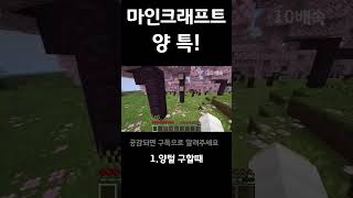 마인크래프트 양 특!#minecraft
