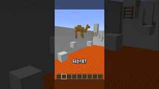 동물로 변해서 점프맵을 깨라! 마인크래프트 동물 점프맵 ㅋㅋㅋ