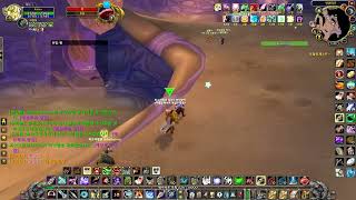 월드 오브 워크래프트 2025 기념일서버 안퀴라즈 사원 쫄패스 냥꾼