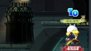 [메이플스토리] 어둠은 늘 우리들의 발자국을 따라오지만, 그 어둠을 빛으로 바꿔낼 길을 찾아 /무편집 무과금 게임기록 250722