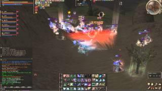 리니지2  쿠애 테온 입구교전