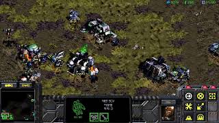 [스타크래프트2 1v1] 전투순양함이 레이쓰에게 뚝배기 깨지면 생기는 일