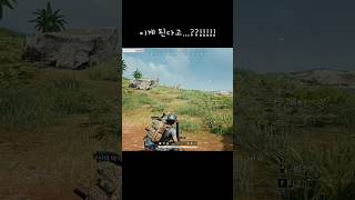 이상한 판이였다.                     …