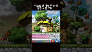 퀘 안 깨면 죽는 병 걸린 사람... | 메이플랜드 썬…