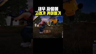 새우 싸움에 고래 끼어들기 #배그 #배틀그라운드 #pubg #모터글라이더