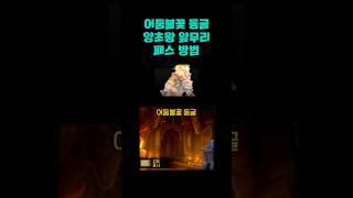 #어둠불꽃동굴 #와우팁 #wows리플레이 #worldofwarcraft