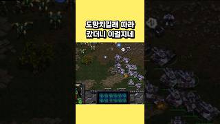 도망치길래 따라갔더니 이걸지네 #스타크래프트 #프로토스…