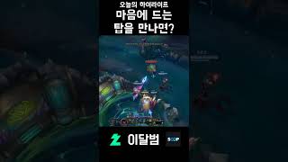 마음에 드는 탑을 만나면 #shorts #리그오브레전드…