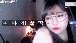 그녀의 피파온라인4