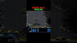 [스타] 택견드라군│삐끗하면 사망 #스타 #스타크래프트…