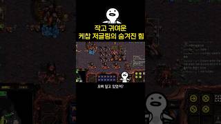 아날 저글링 무지성 돌격! 저글링의 숨겨진 힘. 스타크…