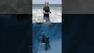 Swifty Playing wow at the Beac…