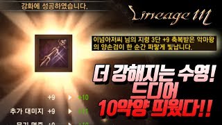 내가수영TV10 악마왕의 양손검 러쉬 성공 더 강해진 수영이의 10검 성공기  리니지M 天堂M LineageM