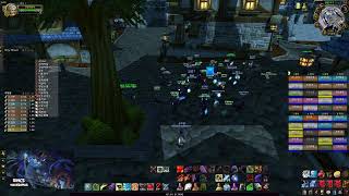 wow 와우클래식 시대서버