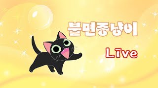 [Live]냥이는 디아블로 법사로 쩔받는중~~^^-델세르얼보(18/07/13)