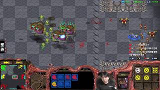 2025.7.31(목) [로카] 빨무 스타크래프트 스타 빠른무한 StarCraft