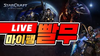 【실시간 LIVE】스타 빨무 팀플 스타크래프트 StarCraft 25.08.24 (일)