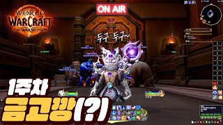 [와우 내부전쟁] 카이베자 N트째..ㅋㅋ #본섭 #냉법…