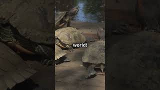 10 World Of Warcraft Facts You Never Knew!