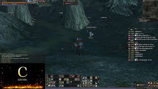 리니지2클래식 크로니클4버젼 해외서버 궁팟/위팟 구성중…