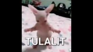 [Elsword INT/엘소드] Tulalit