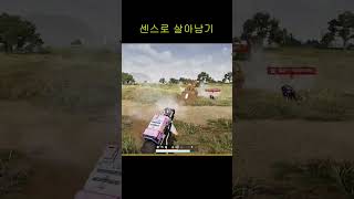 카배 경쟁 무서우이 #배그 #배틀그라운드 #pubg #games #gaming #shortvideo #shorts #short