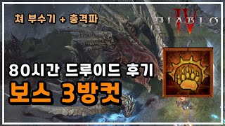 디아블로4 드루이드 최종빌드로 보스 잡아봅시다│ ㅈㄴ쌤