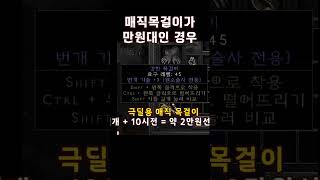 이런 매직 목걸이 꼭 주우셔야 합니다 【디아블로2레저렉…