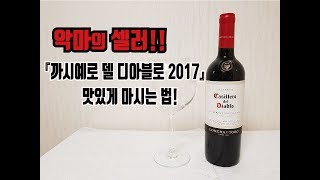 칠레와인 까시예로 델 디아블로 2013 가장 맛있게 마시는 법 에스푸아TV카나