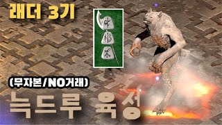 디아블로2 레저렉션 [육성] 신규 룬워드를 활용한 늑드…