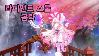[엘소드/Elsword] 라디언트소울 공략 (라디언트소울의 캐릭터 특징 / 추천 장비 / 추천 스킬트리 / 실전 운용 팁)