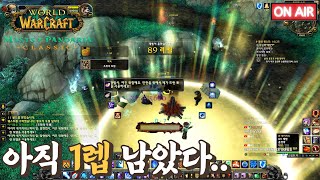 [와우 판다리아] 오늘은 되겠지ㅋㅋ 곧 만렙!!  #판…