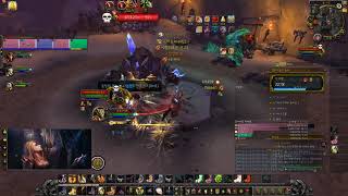 월드오브워크래프트] 와우 징벌 성기사 넬타리온 19단( 분노 괴저  폭군)