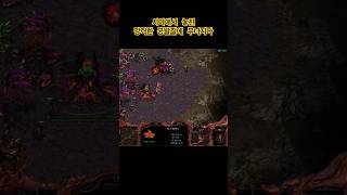 스타크래프트 질럿 움직임을 잘봐야하는 이유