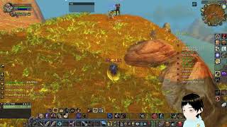 16.(25.06.26) 월드오브워크래프트 클클래식 기념일 일반섭 Lv23~(사냥꾼/사제)