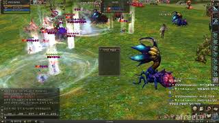 lineage2 리니지2 파타야혈vs빡혈종합병원혈 전면…