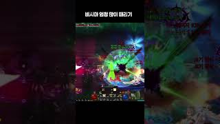 비시마 많이 때리기 | 던파