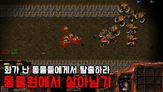 스타크래프트 리마스터 유즈맵 [동물원에서 살아남기] S…