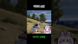 악마의 손길 #shorts #쇼츠 #pubg #배틀그라운드
