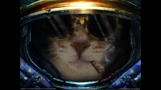 스타크래프트 빠른무한 챠레식 (25.07.26 주말 저…