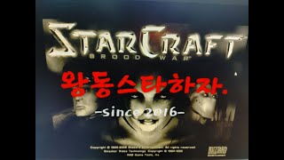 스타크래프트 프로토스 라이브방송하는 왕동입니다. 초보강의합니다