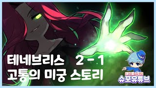 슈포의 메이플이야기 메이플스토리  테네브리스 고통의 미…