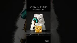 마크 서바이벌 1일차 ⛏️ #마인크래프트ASMR #catasmr #diamondore #asmrshorts #13일차 #aiasmr #필모라 #ai영상편집