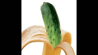 [엘소드] 작업장 사리엘 (아님)