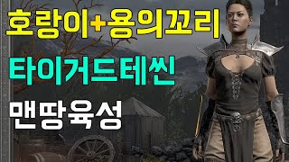 디아블로2 레저렉션 래더3기 호랑이+용의꼬리(타이거 드테씬) 맨땅 육성