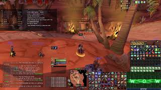해피타임 월드오브워크래프트(와우) 클래식 기념일서버/Happytime World of Warcraft(WoW) Classic 20th Anniversary 2025/06/25