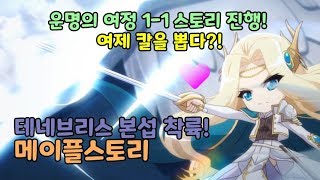 [MapleStory]운명의 여정 본섭 착륙! 테네브리…