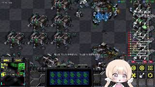 김쵸아  스타 빨무 팀플  스타크래프트   (25.08…